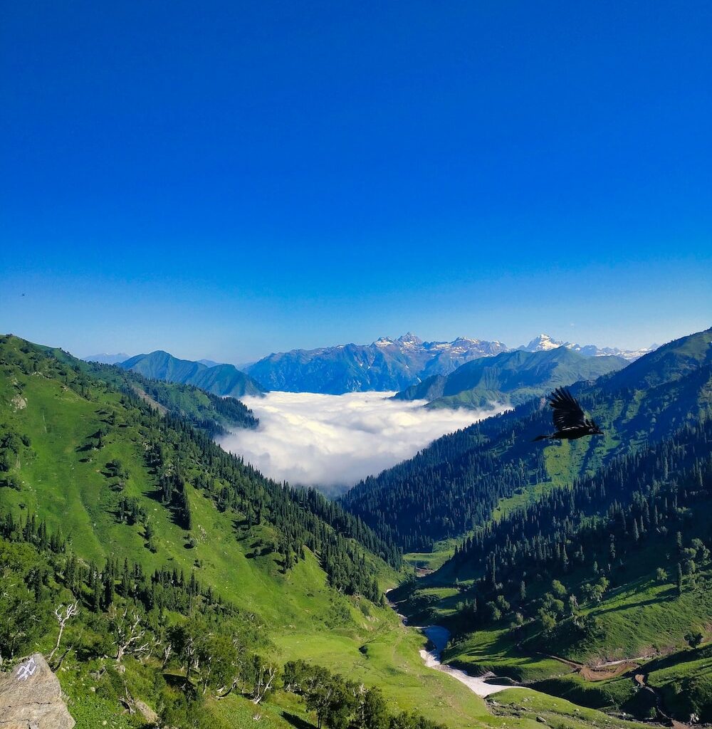 15+ Best Places To Visit in Jammu Kashmir