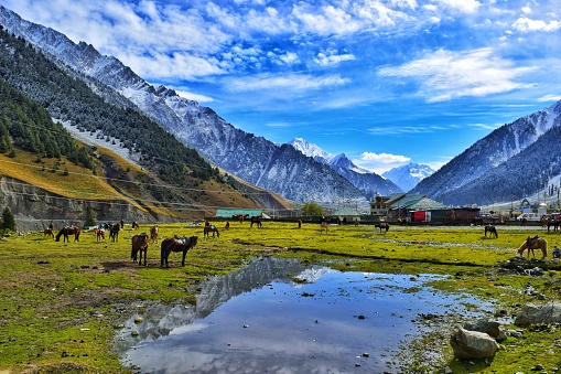 15+ Best Places To Visit in Jammu Kashmir